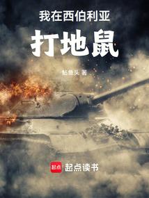 轩极无双