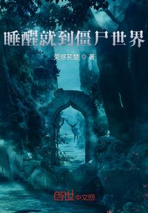 穿越三国之见习特工