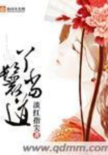 极品赘婿老公