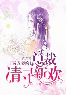 Y小姐没有贾宝玉