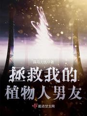 七月莲花菡萏时