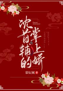 第九劫书