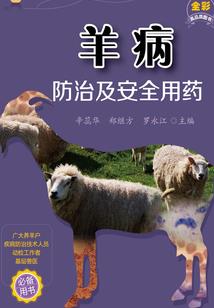 万符大道