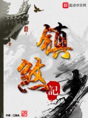 焚尽苍宇