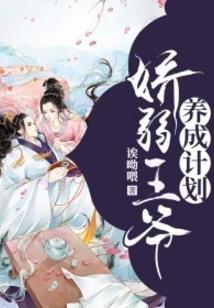二O二八
