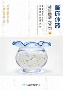 混沌本源珠