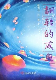 风云傲苍穹