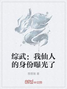 我居然穿越到了网恋世界