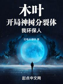 灵之陆幻遇