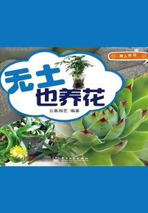 寻紫情缘