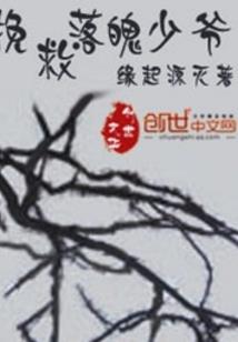 宠妻1314：神偷傻妃