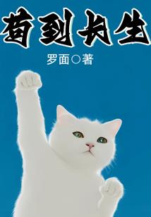 请不要，一错再错