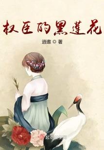 佳人轻抚琴2潜龙乱世
