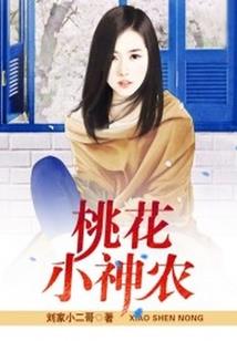 阴阳先生奇异录