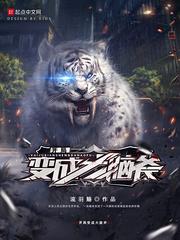 风云电彻