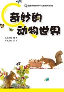 真实与虚拟