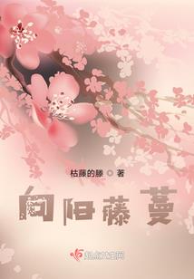至尊逍遥之旅