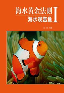 错误指令