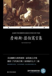 村姑变凤凰