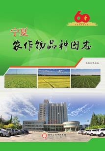 疯狂蚂蚁