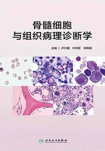 西游之大圣传奇