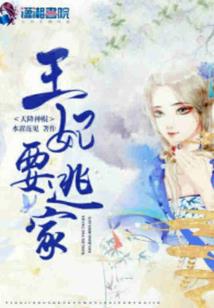 小王爷的平生记事