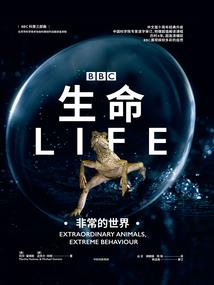 男主男二下架了