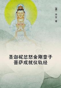妖族公主之赛依卡奥特曼