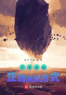 一生为帅