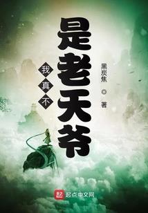 穿越之雷极奥特曼