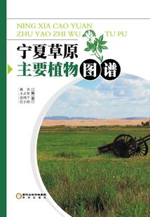 混沌修仙诀