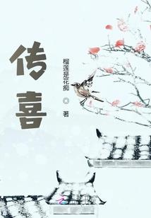 异位维度白昼