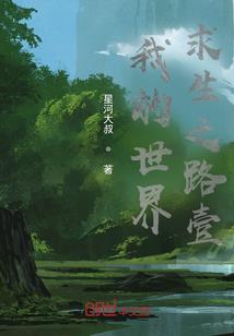 齐之风云记