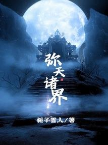 网游之神圣计划