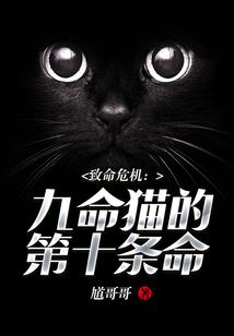 比试的目的