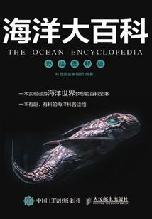我去过的未来
