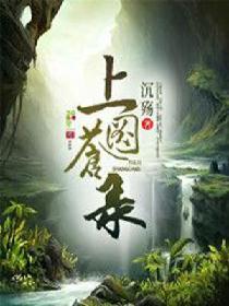 穹阳传