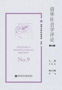 投石人往事