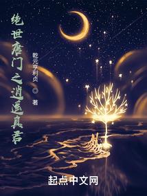空难调查记录簿