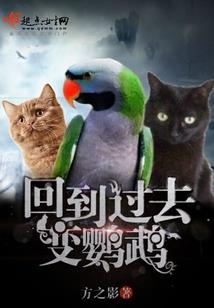 怨冥夜龙
