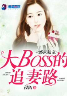 柳枫传奇