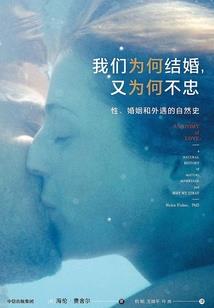 王朝天下