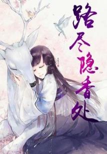 万能二次元系统