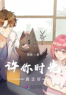 超级冒牌系统