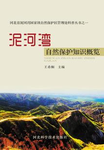 红颜鬼面