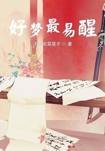 妃你不可：天使也穿越