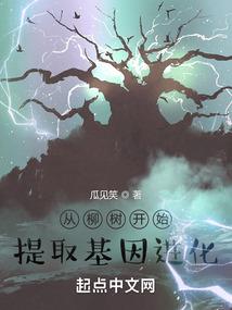 极年之书