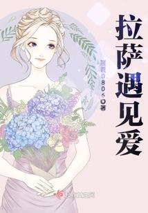 捕获男飞贼