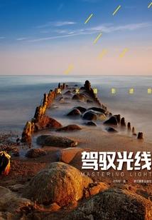 奈情深何缘浅