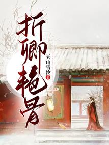 精灵宝可梦之精灵大师